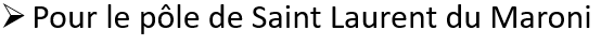 Capture-d-ecran-PVO-