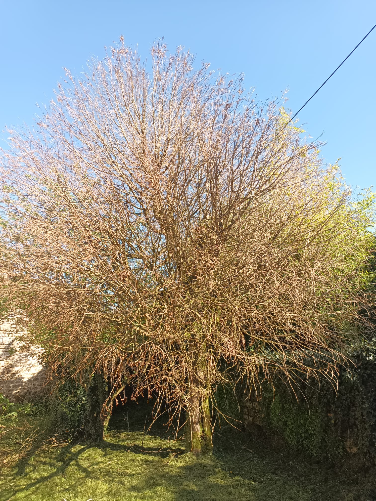 Photo 2025 05 21 20 26 10 4