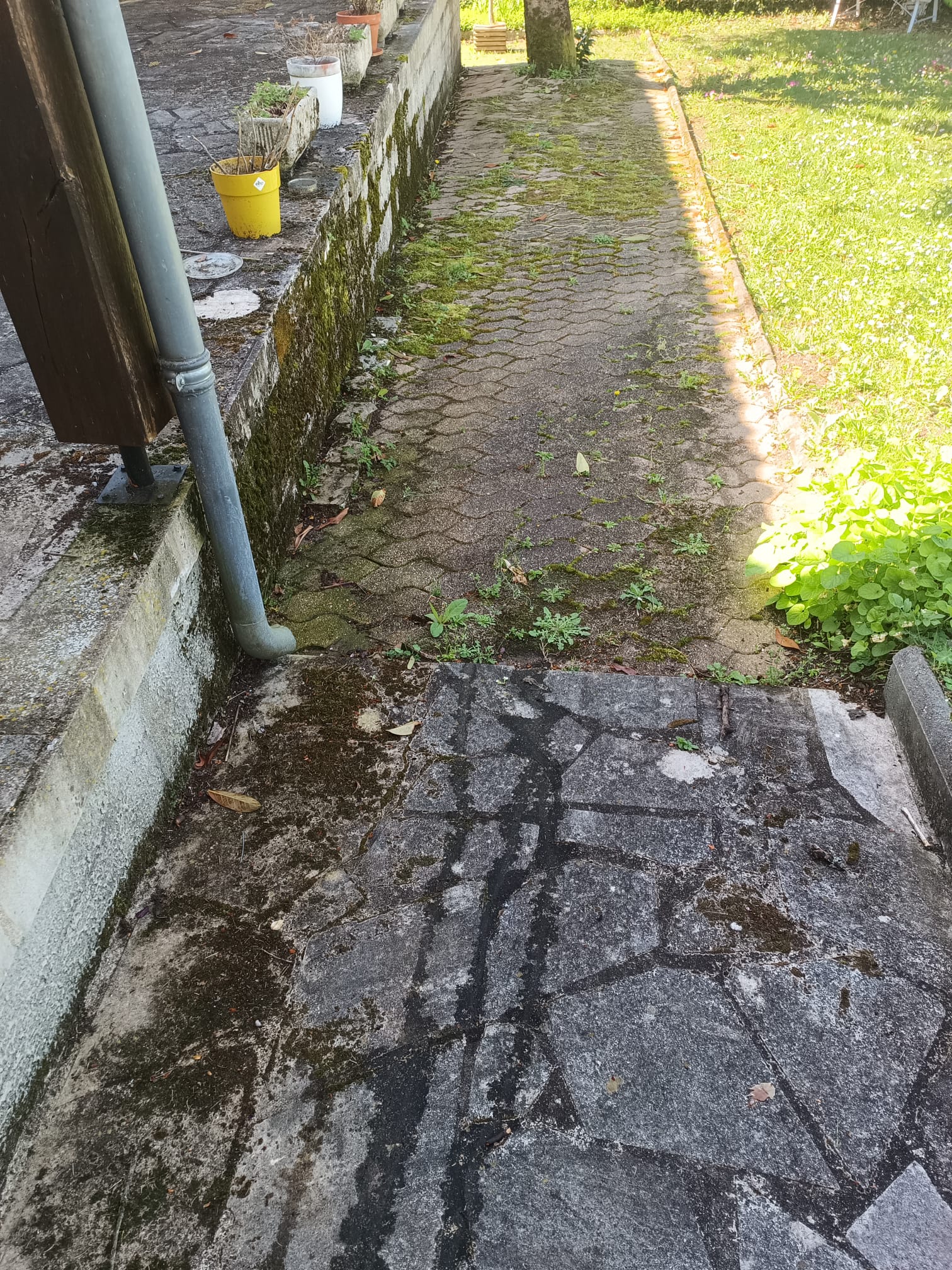 Photo 2025 05 21 20 26 10 3