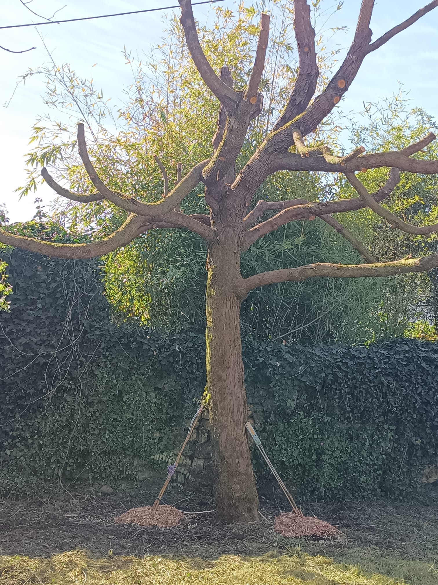 Photo 2025 05 21 20 26 10 2