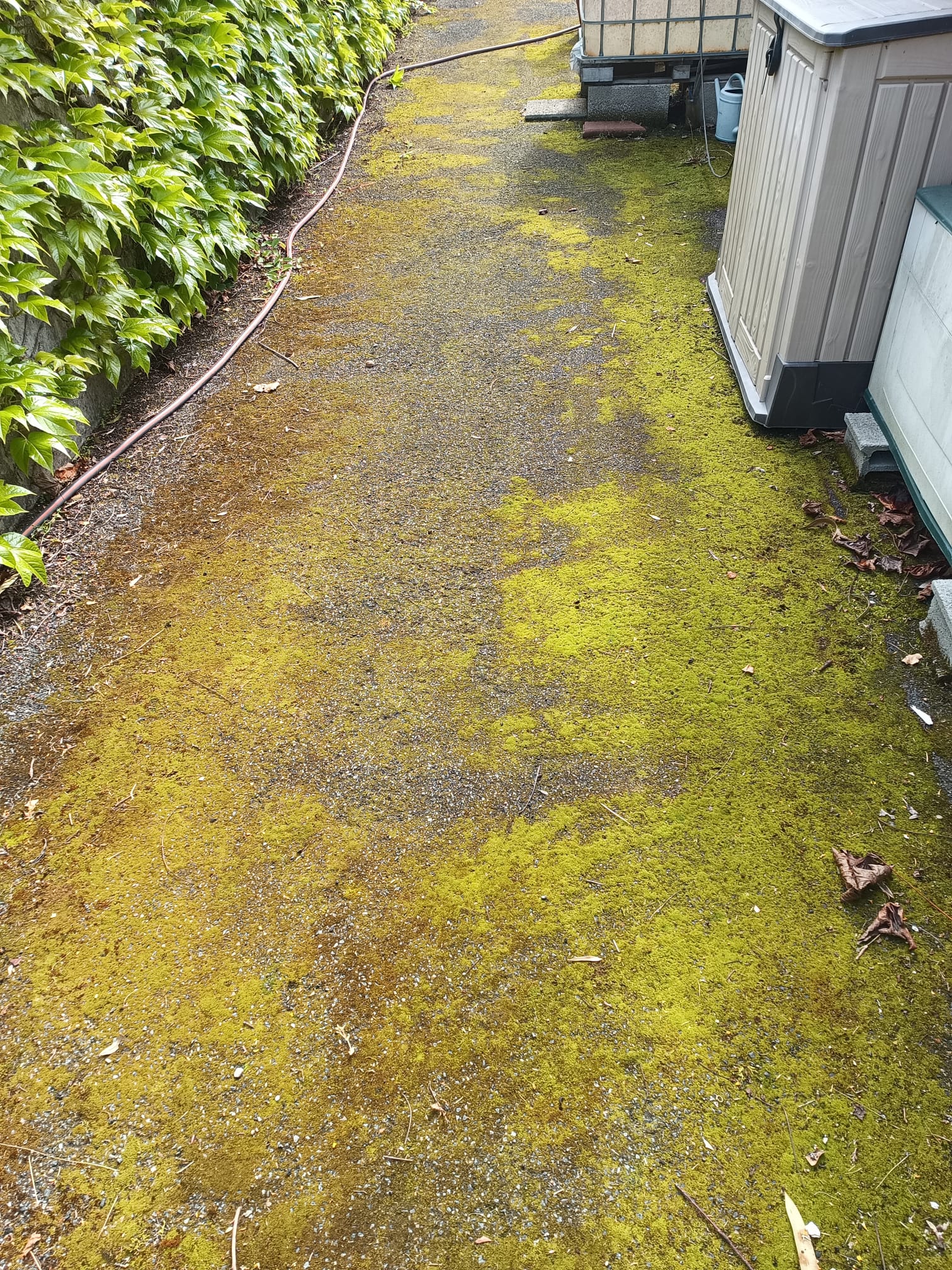 Photo 2025 05 21 20 26 08 2