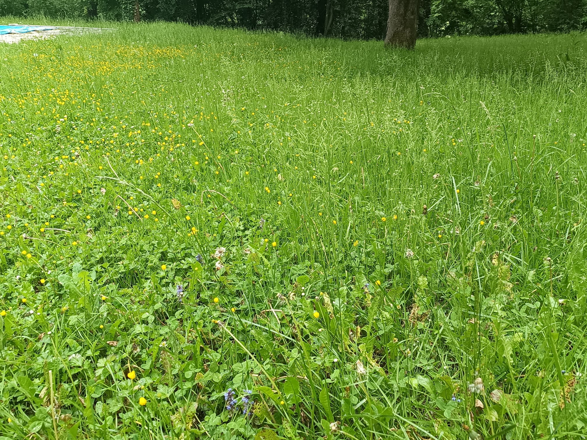 Photo 2025 05 21 20 26 06 6