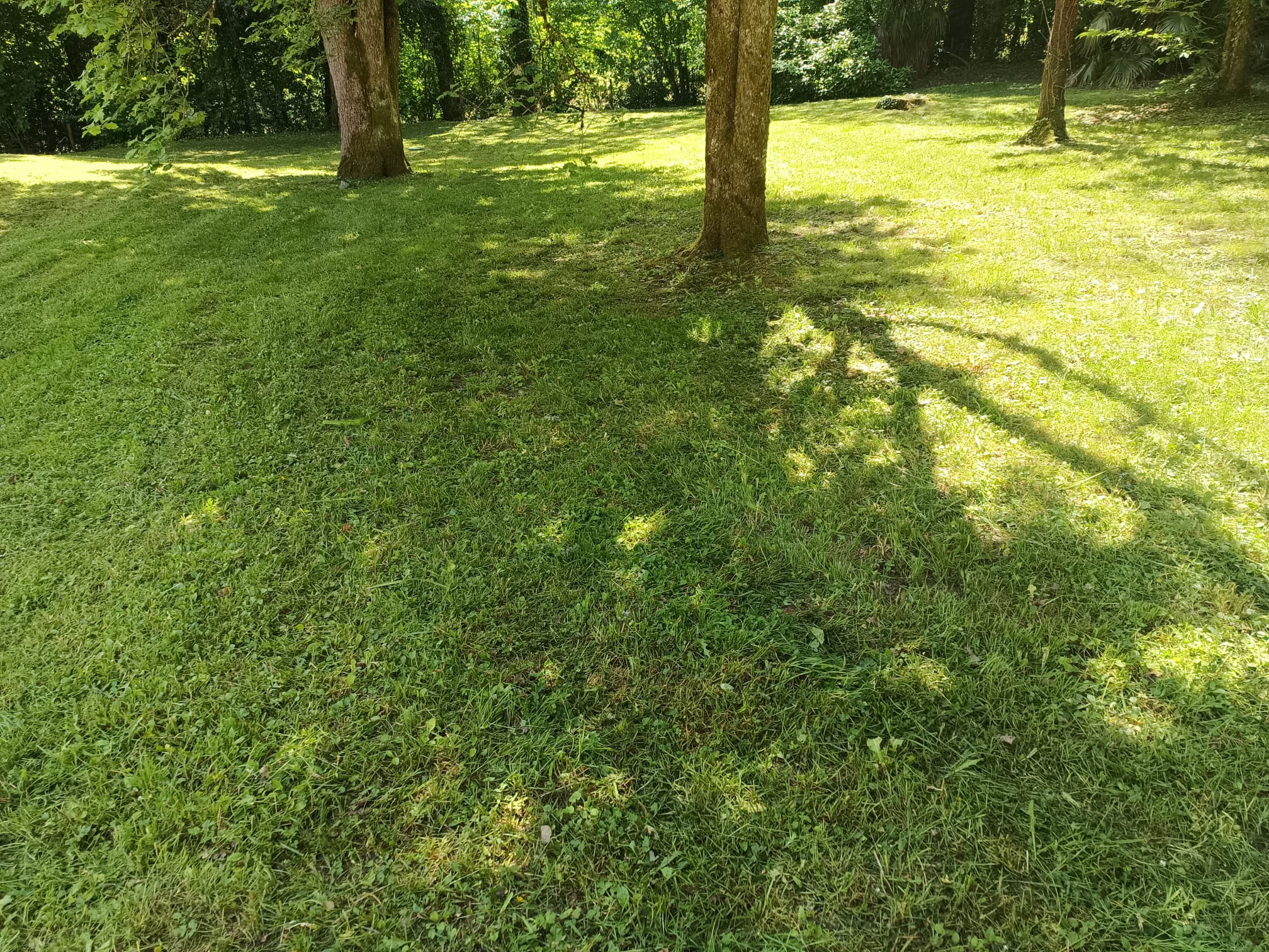 Photo 2025 05 21 20 26 06 5