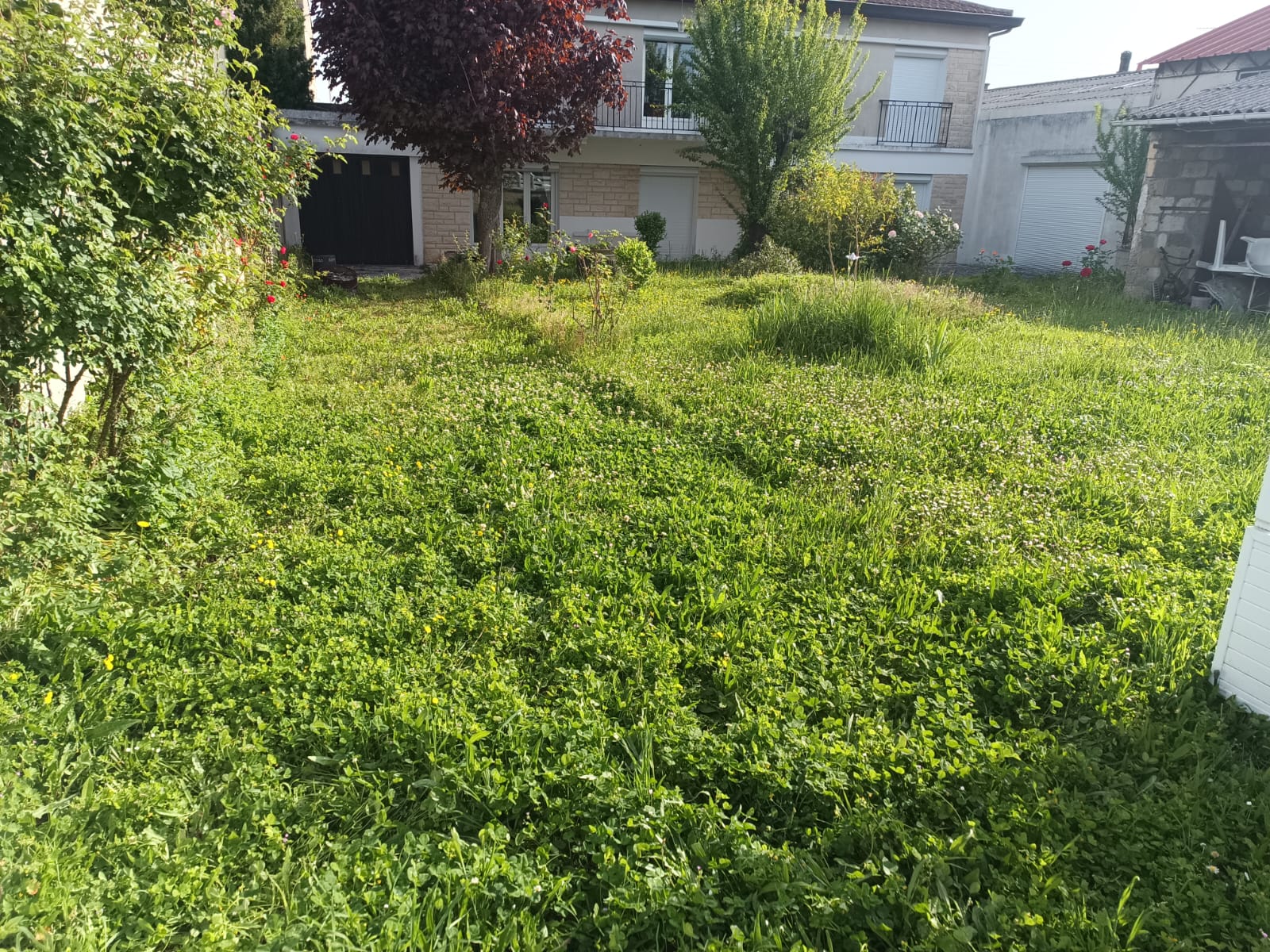 Photo 2025 05 21 20 26 06 4