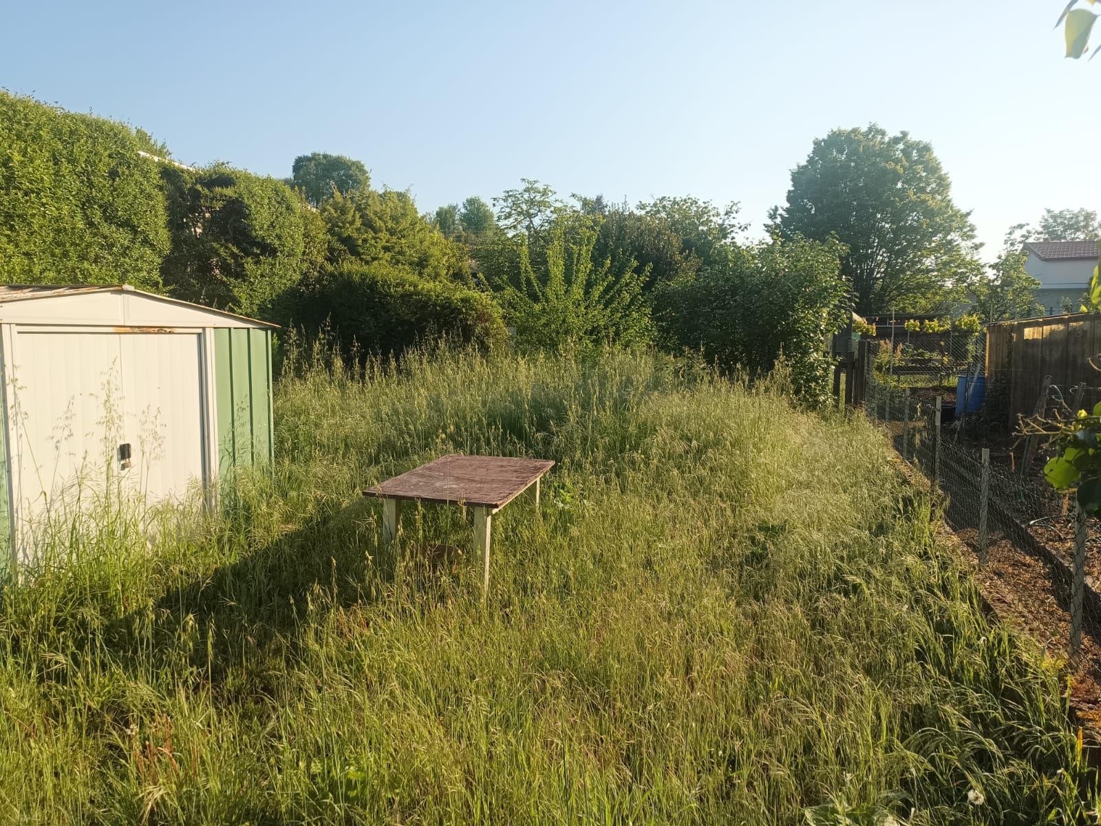 Photo 2025 05 21 20 26 06 2