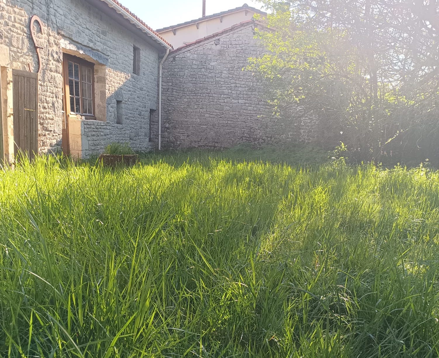 Photo 2025 05 21 20 26 10 5