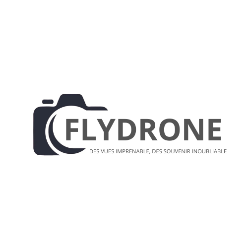 Logo-micro-entreprise-FLY-DRONE-V2-500pxl-