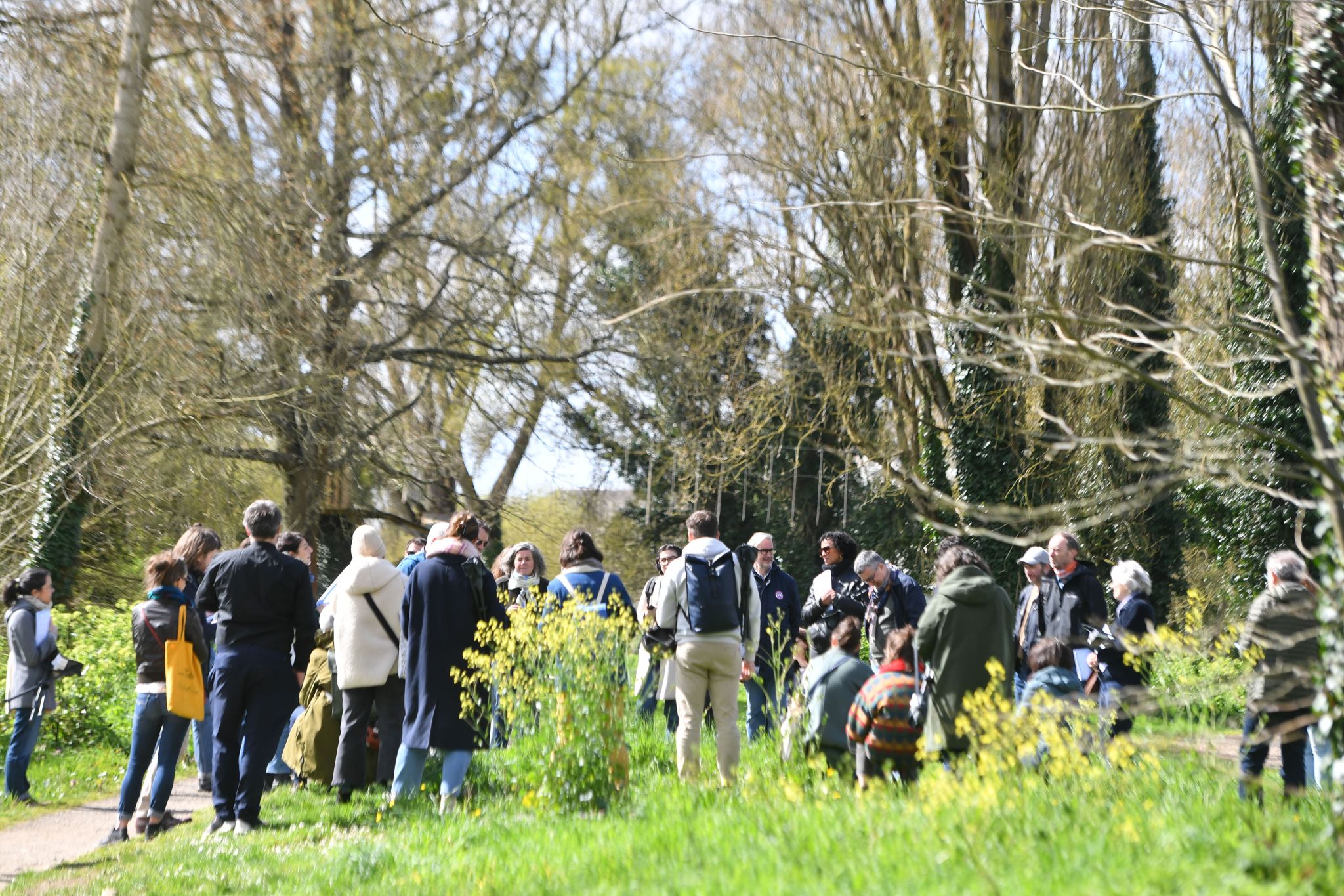 Lieux communs rejoint l'Assemblée de l'île 