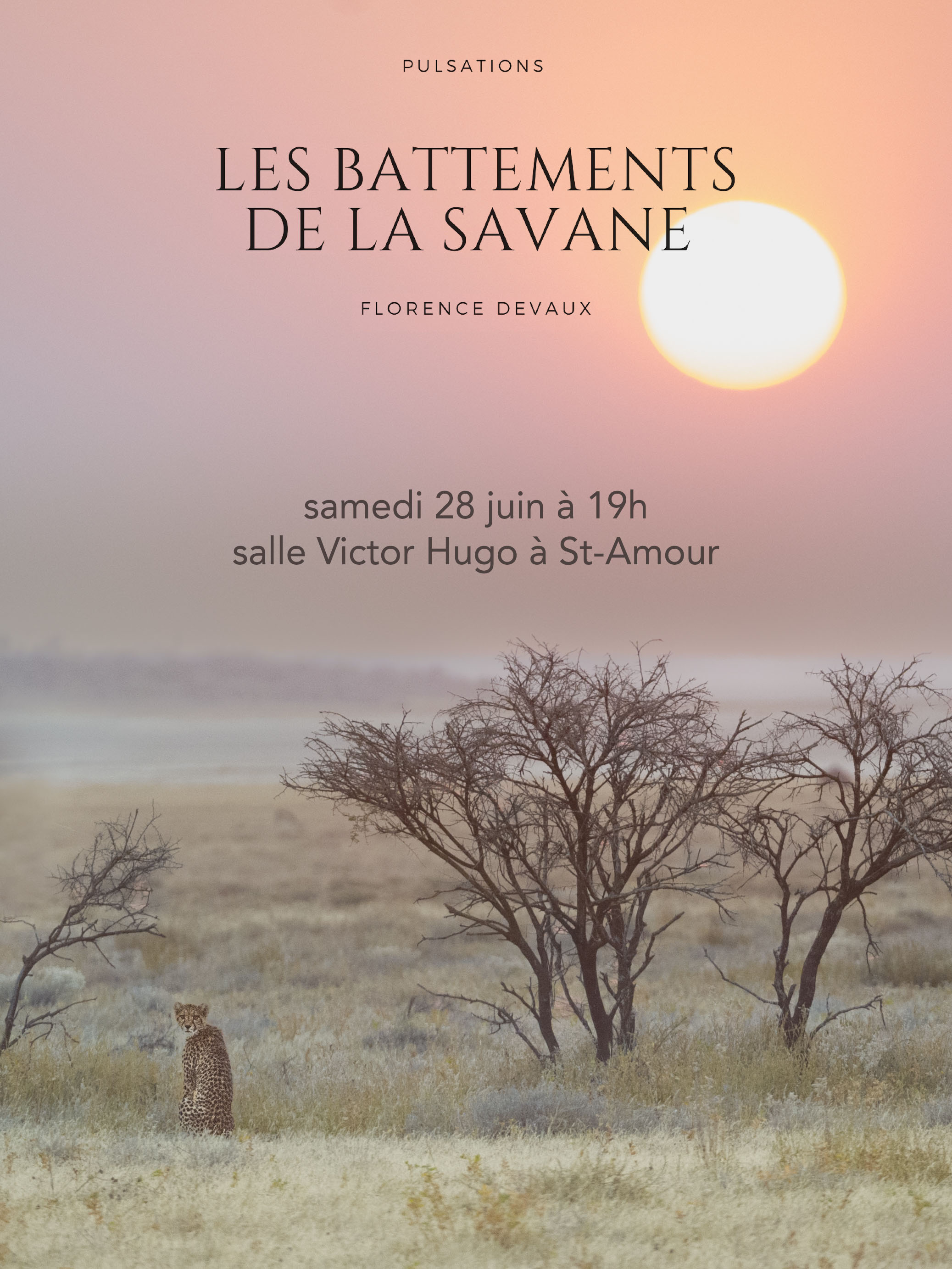 Affiche-conference-pulsations-florence-devaux-copie