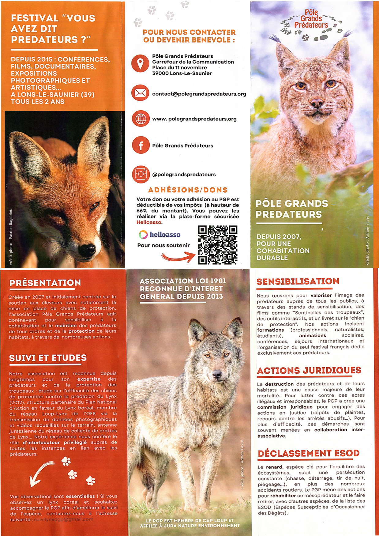 Pole-grands-predateurs