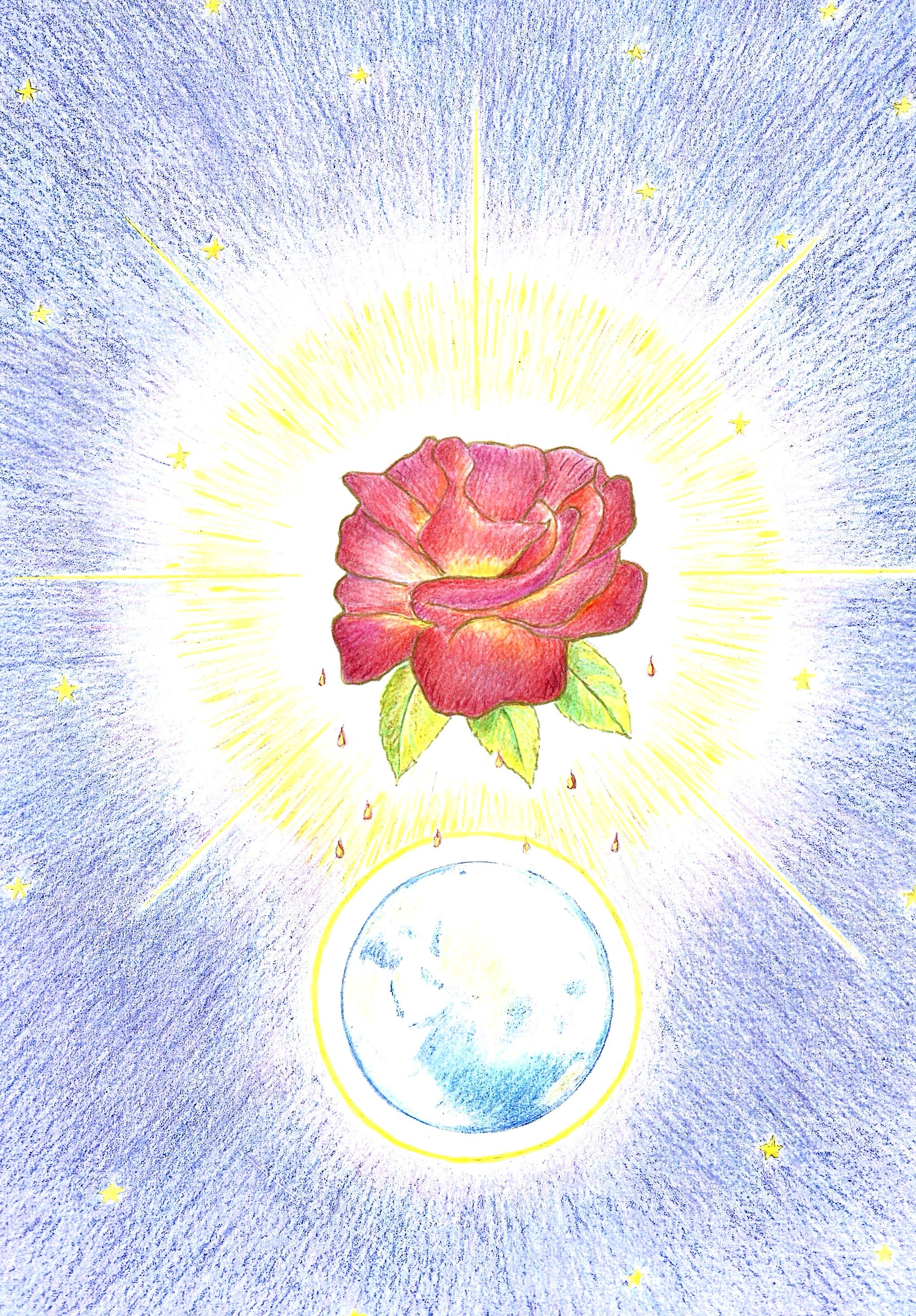 Dessin-rose-et-terre-ok