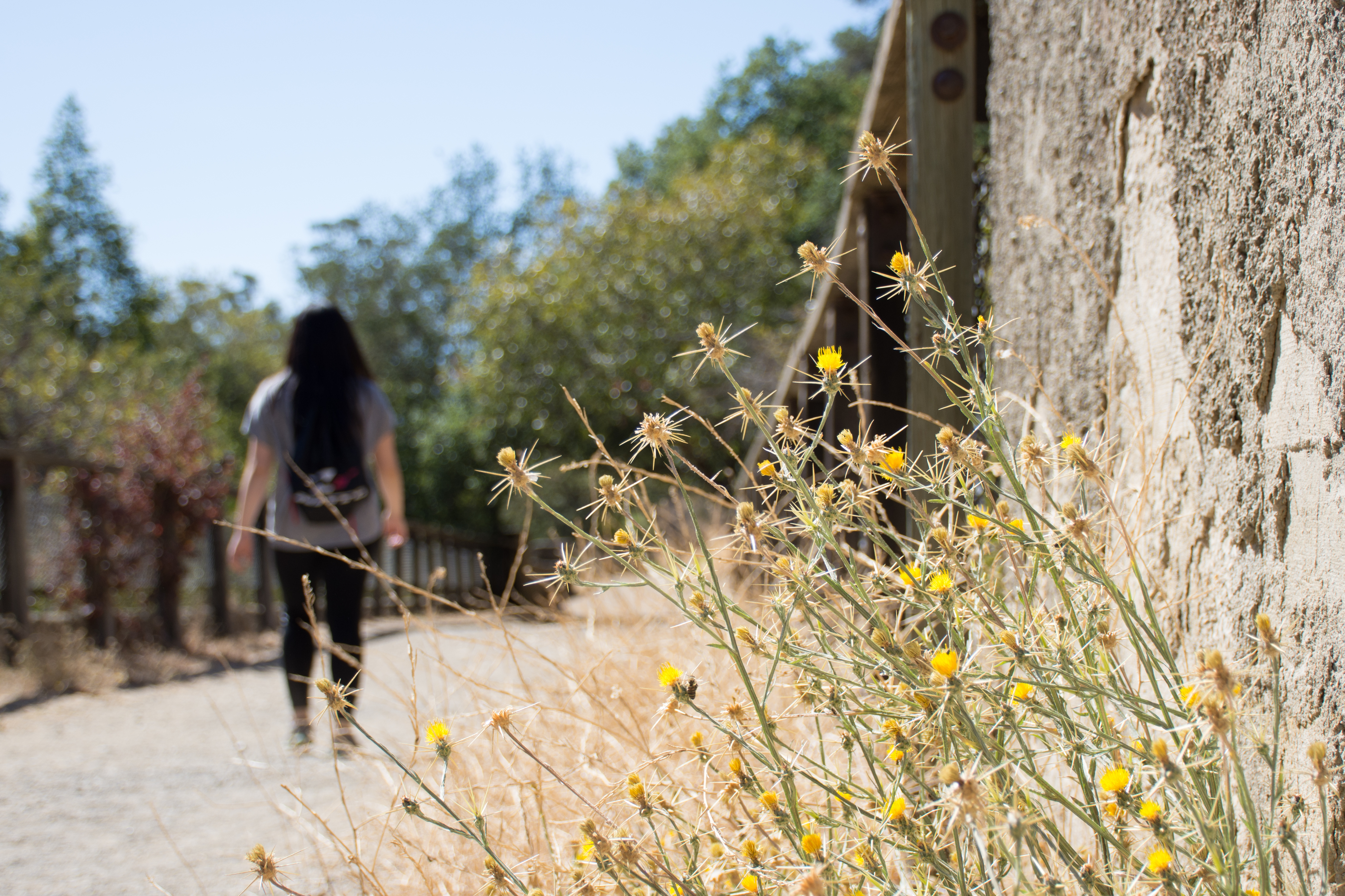 Rear view woman walking footpath