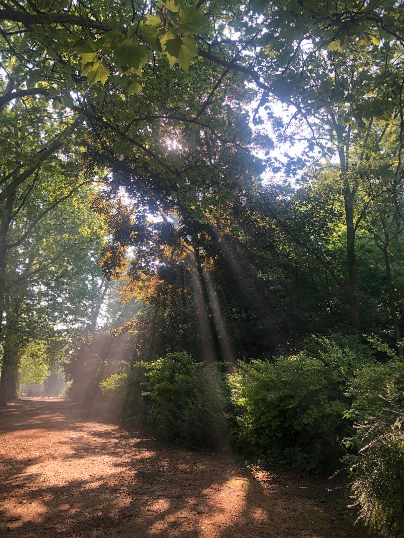 Rayons-du-soleil