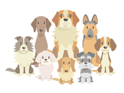 Chiens-24-gif