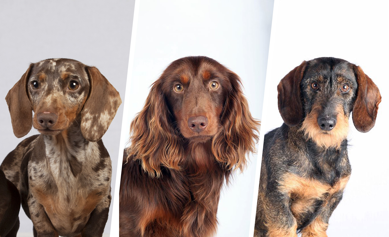 Groupe-4-header 1