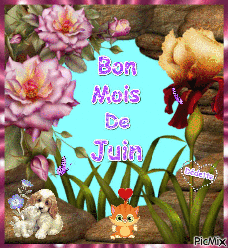 Bon-mois-de-juin-animation