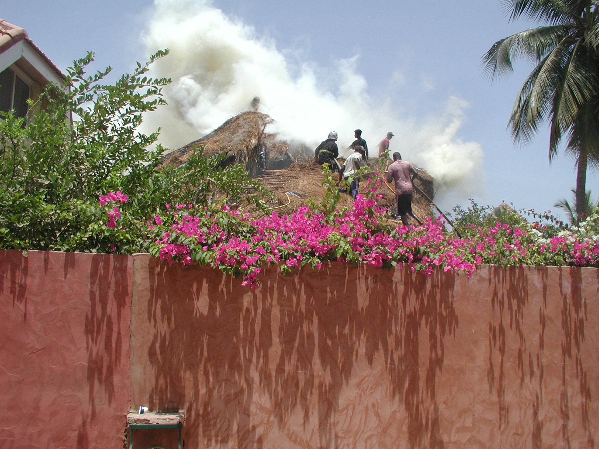 Image 01