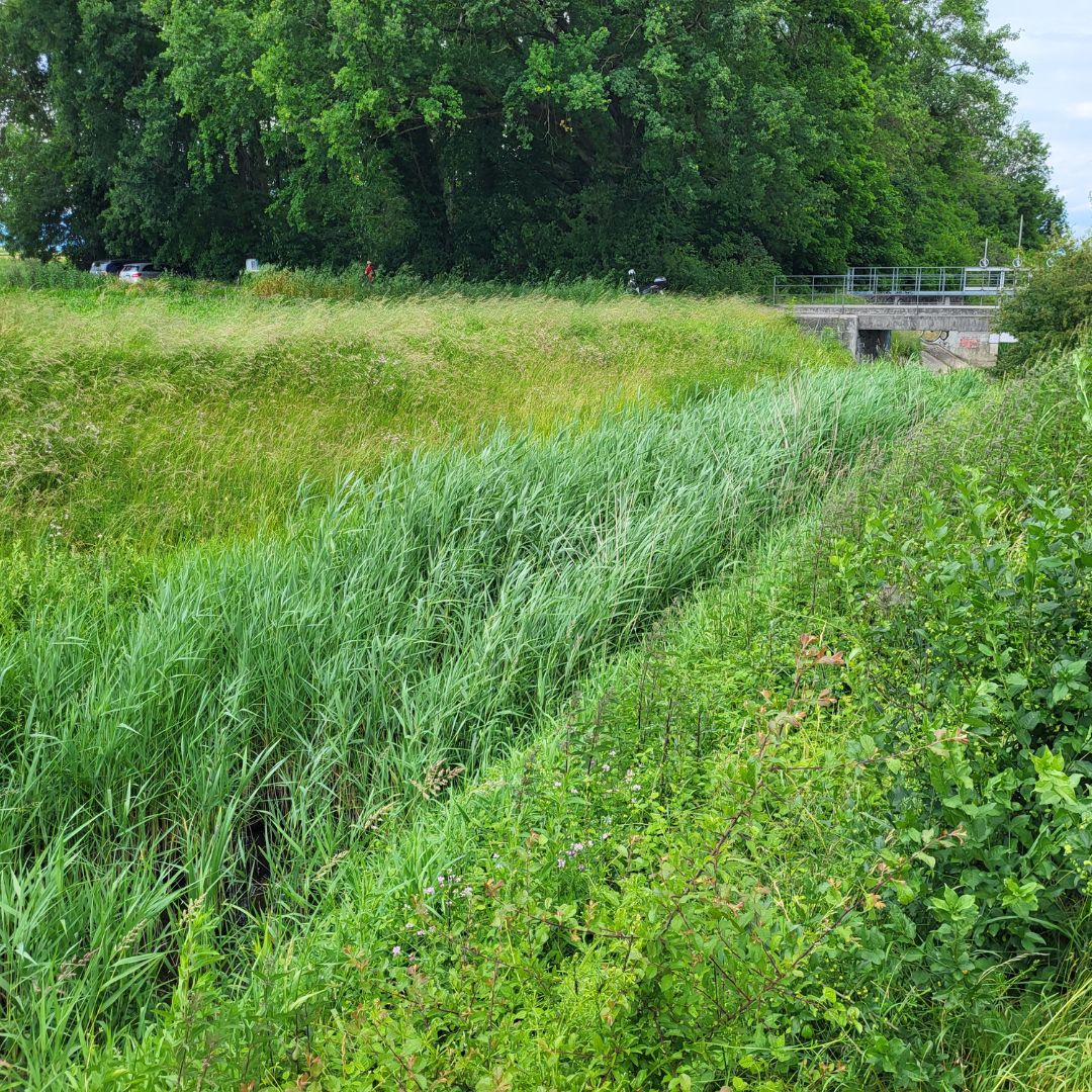 Controle effets approfondi Seymaz 2024