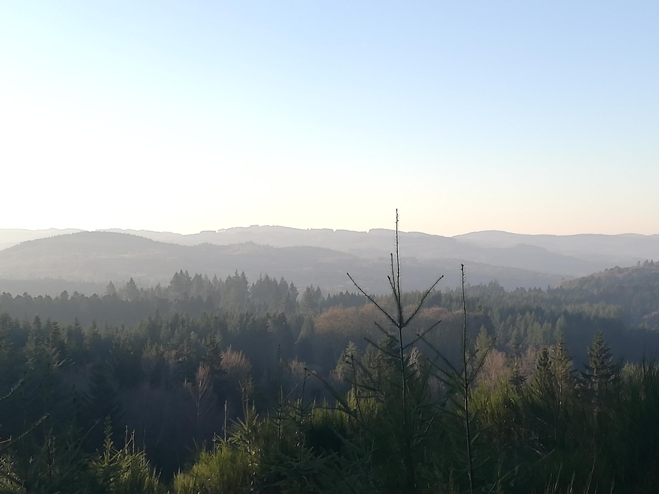 Img 20250113 092403