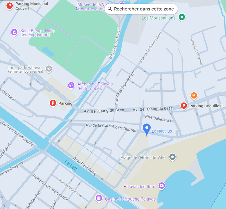 Capture-carto-Palavas-Parkings