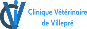 Clinique-Villepre