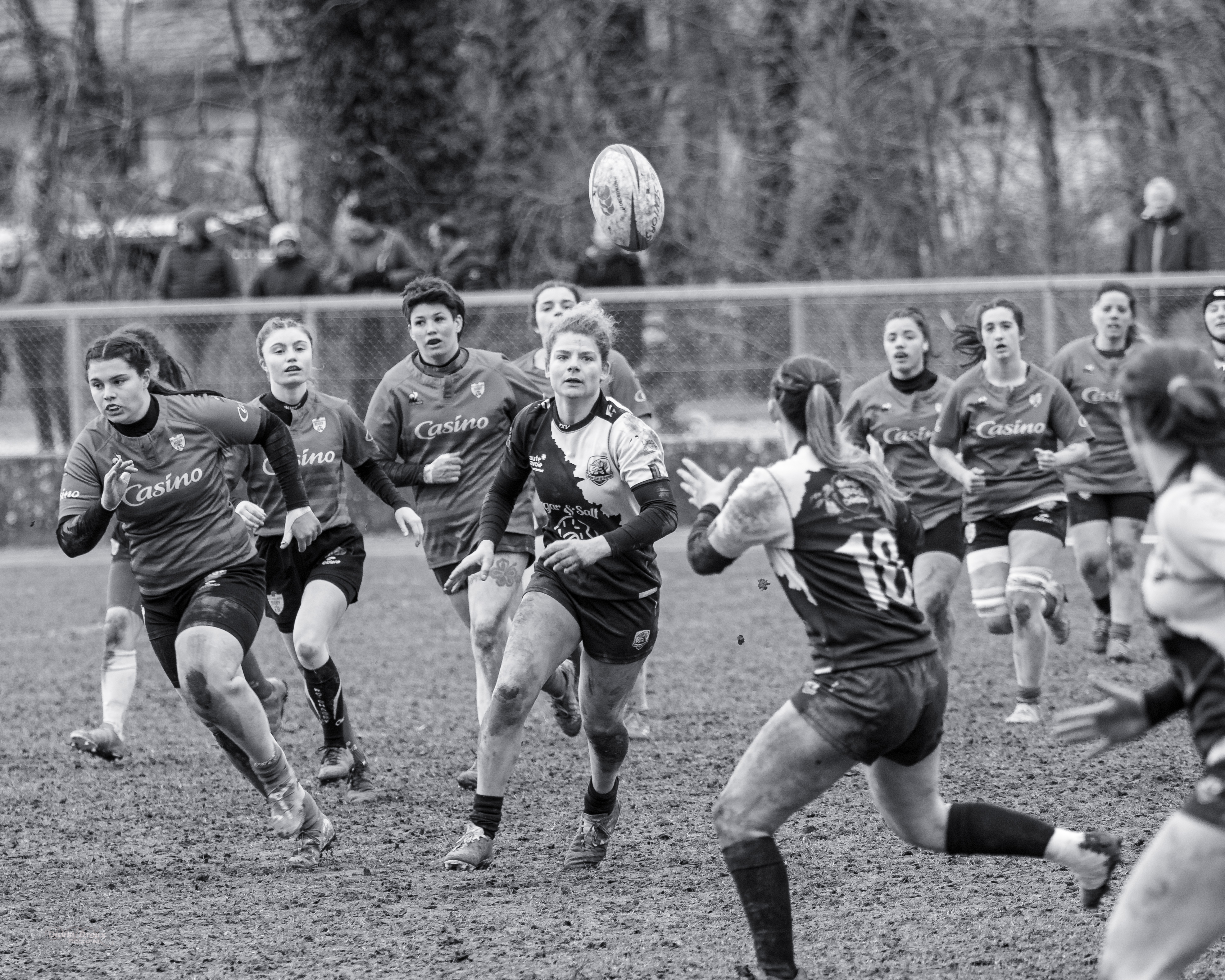 Stju rugby f 23