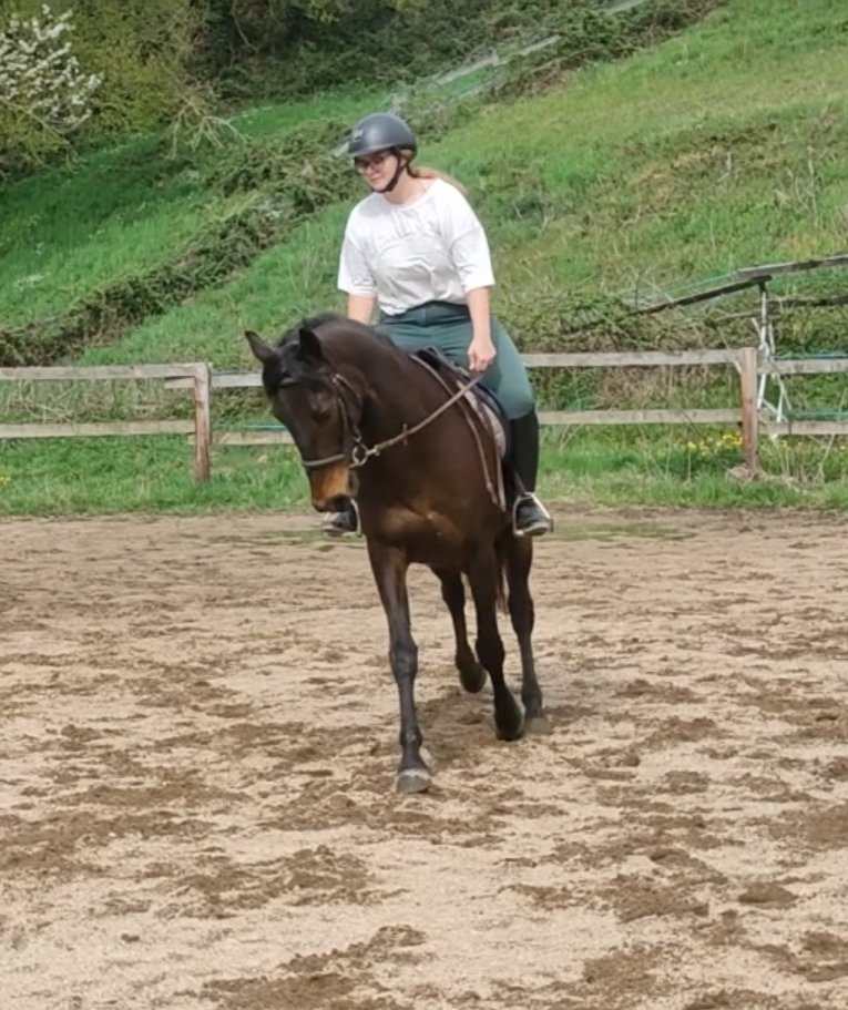 491312562 3024363007742373 4695260424144423062 n