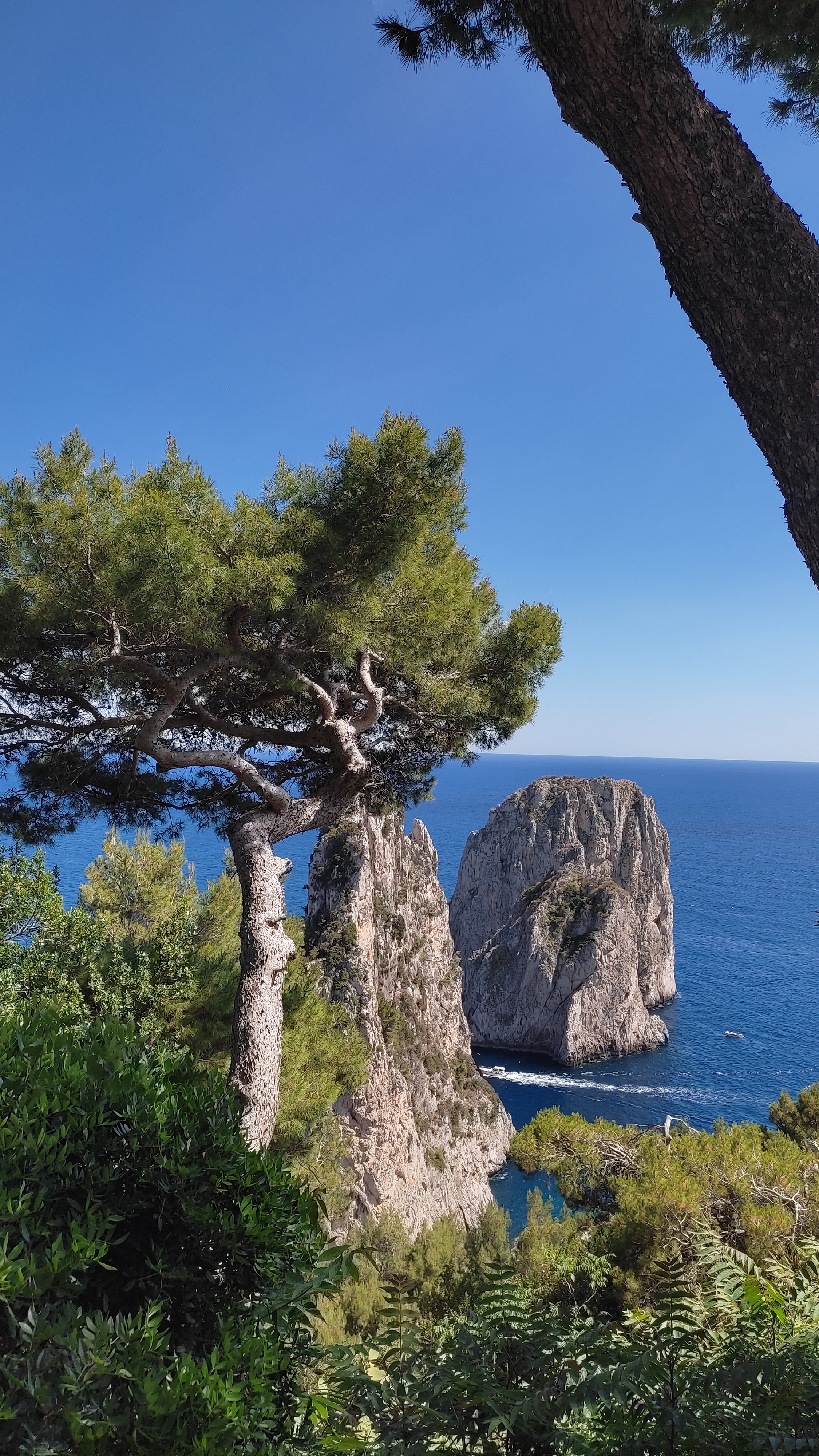 2025 j7 la belle capri 2