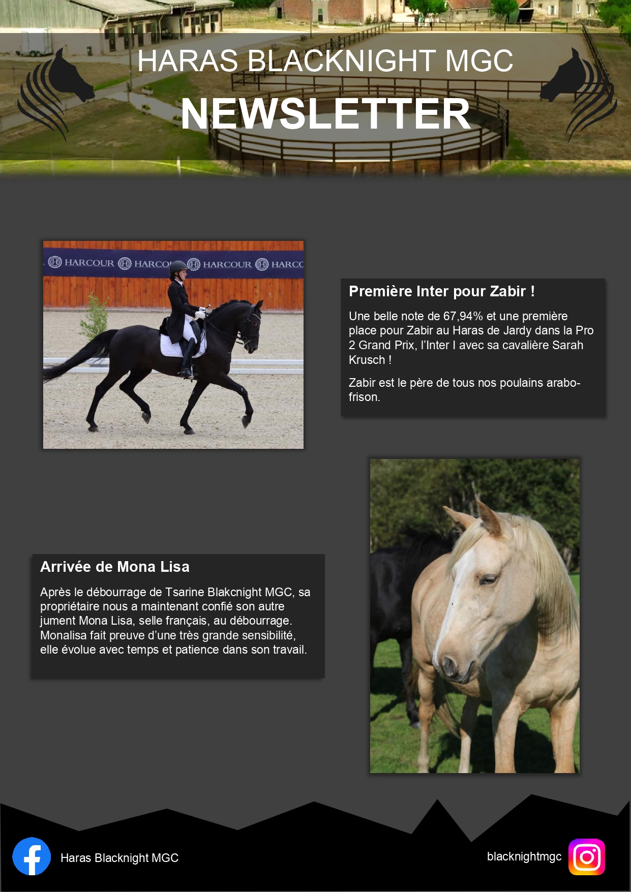 Newsletter-Decembre-Enregistre-automatiquement- page-0001