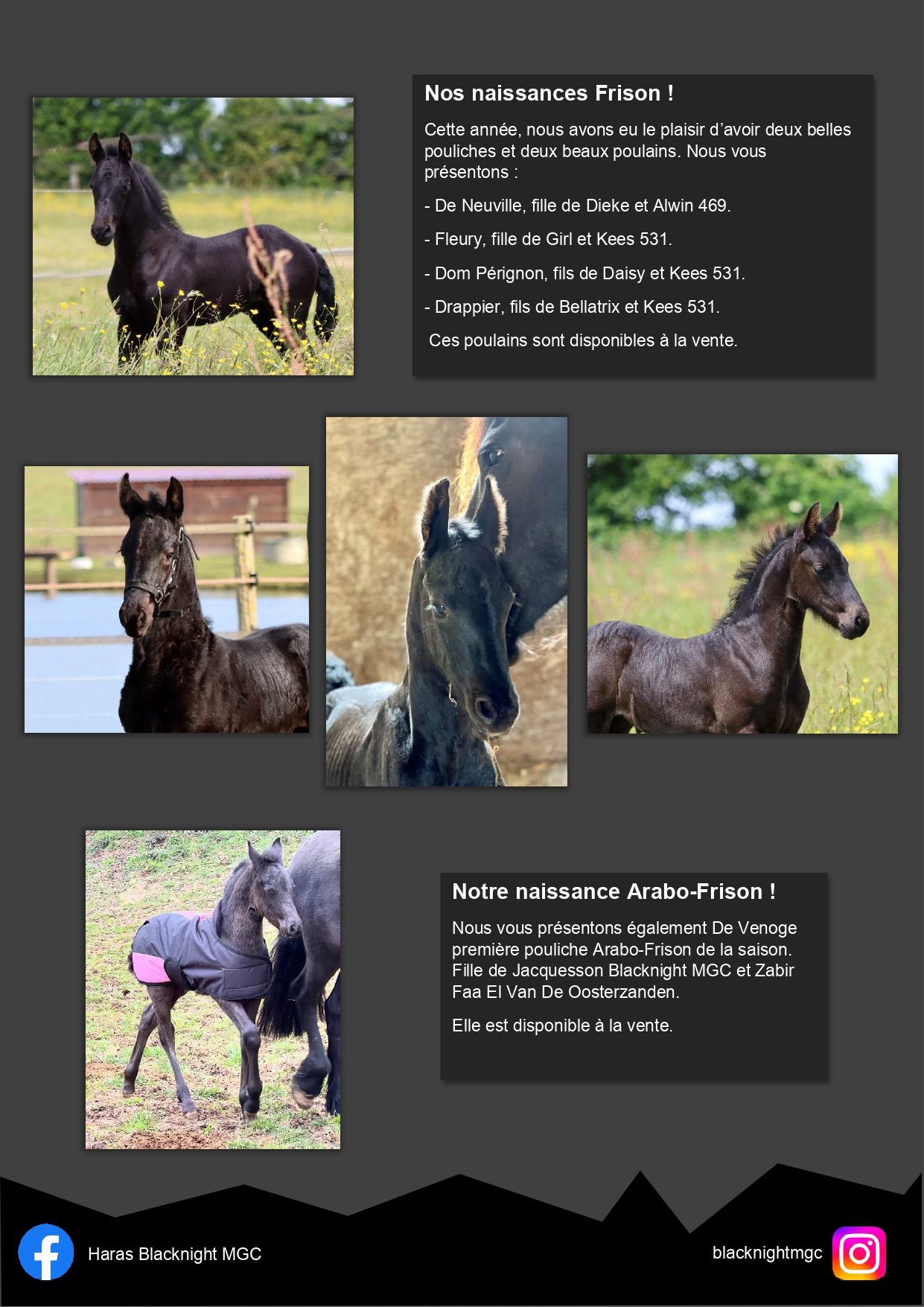 Newsletter-Decembre-Enregistre-automatiquement- page-0002