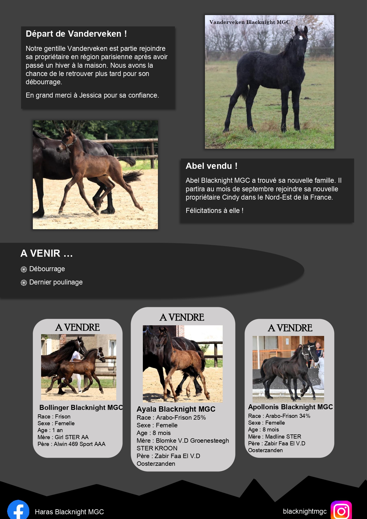 Newsletter-Decembre-Enregistre-automatiquement- page-0003