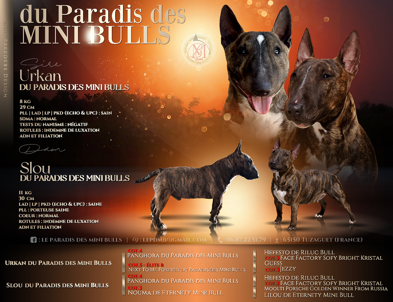 Urkan-x-Slou-mating-and-pedigree