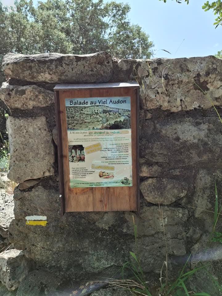 Fb img 1749735495097