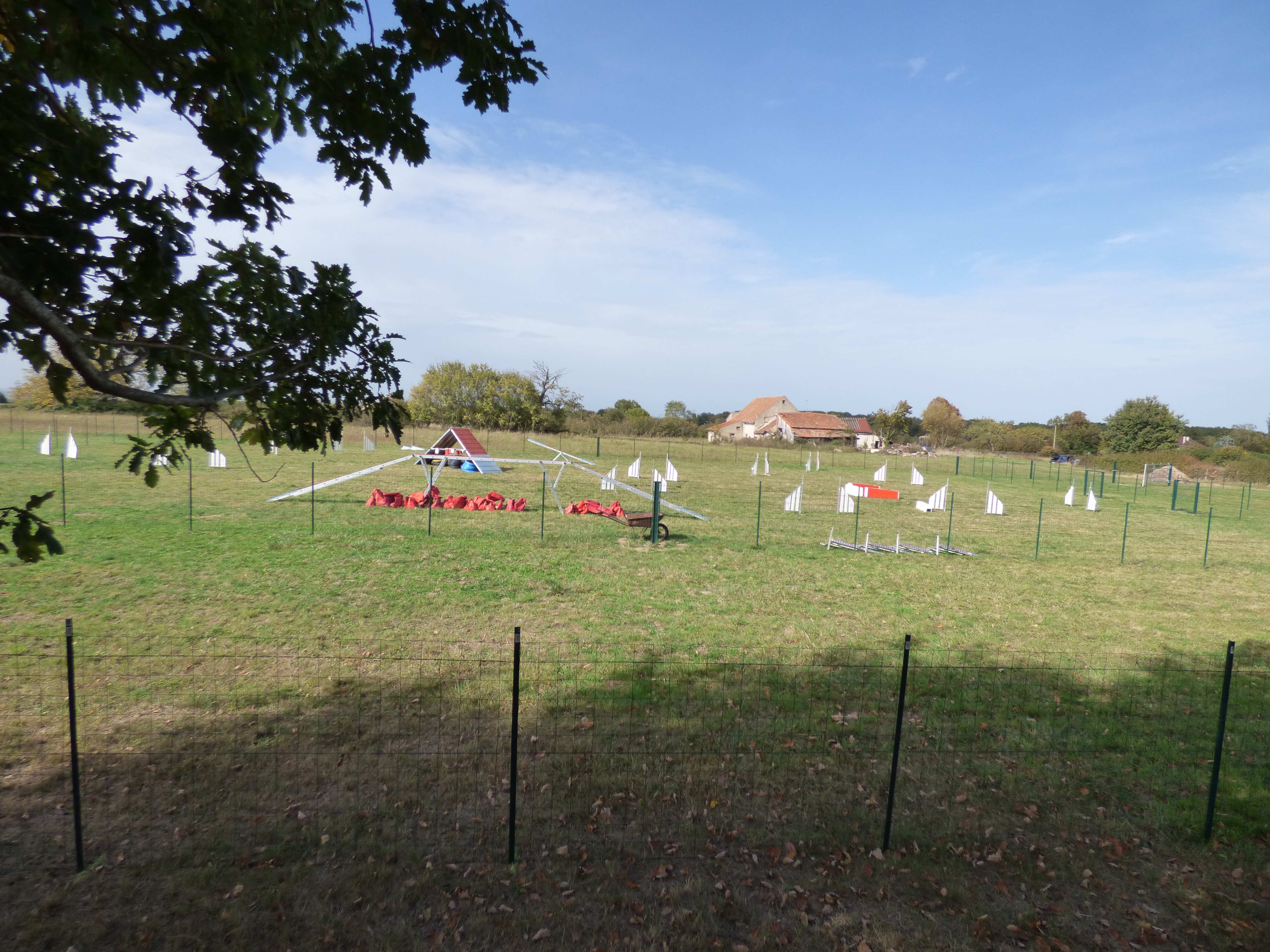 P1000596