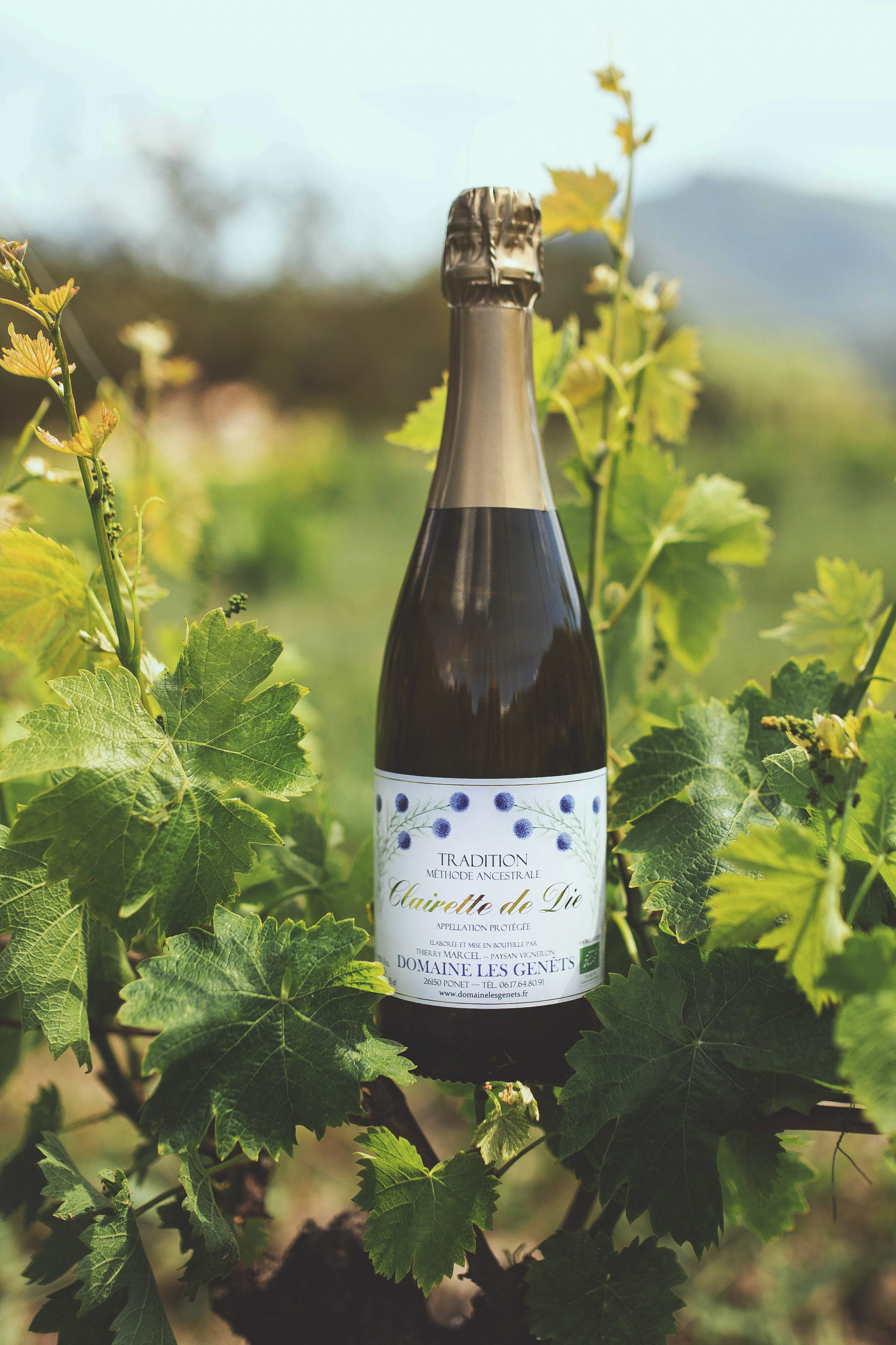 Clairette-de-Die-Tradition