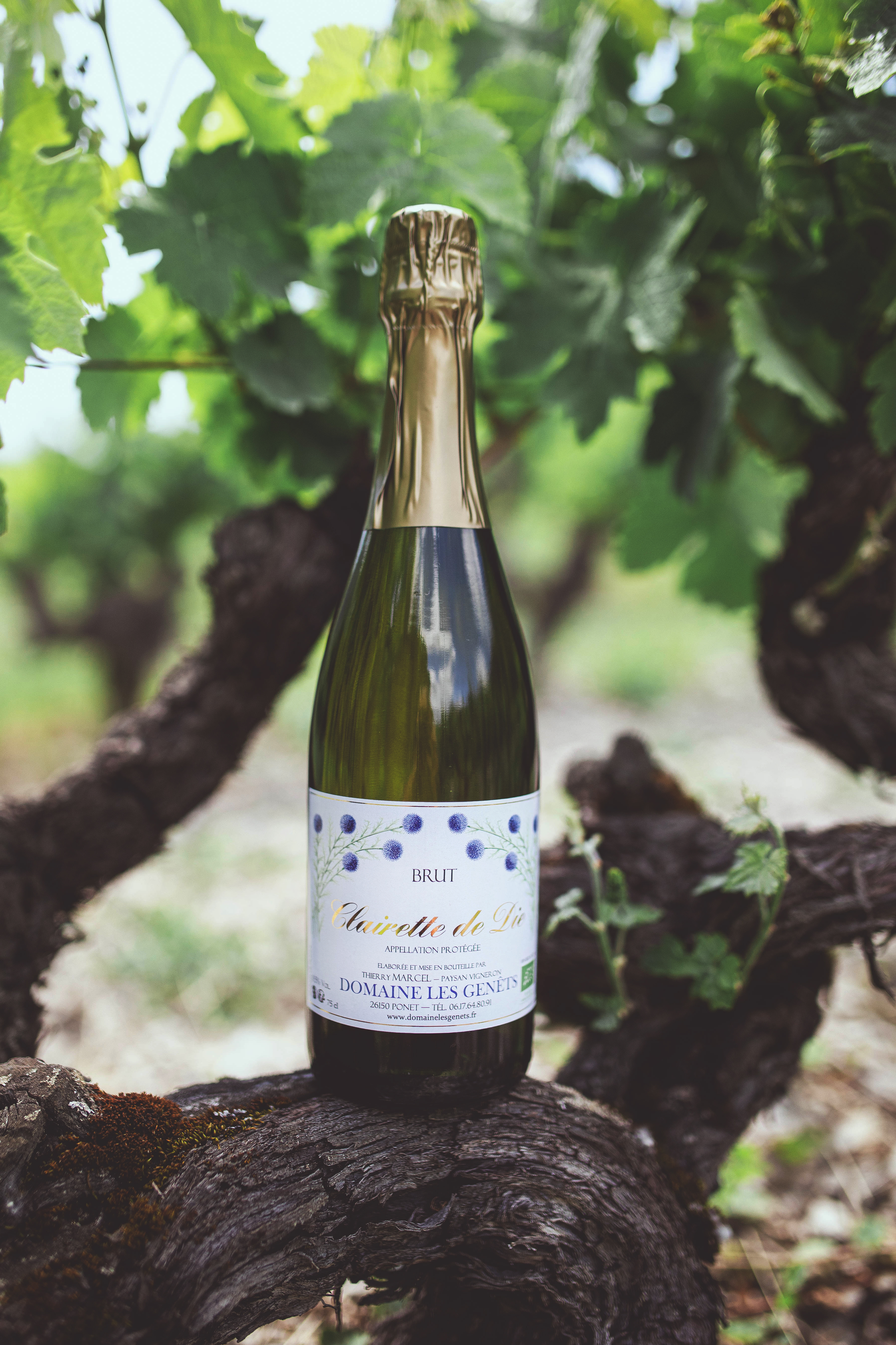 Clairette-de-Die-Brut