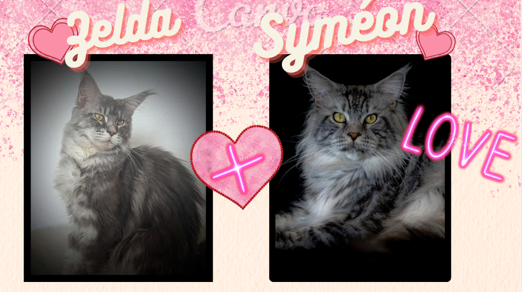 Zelda-Symeon