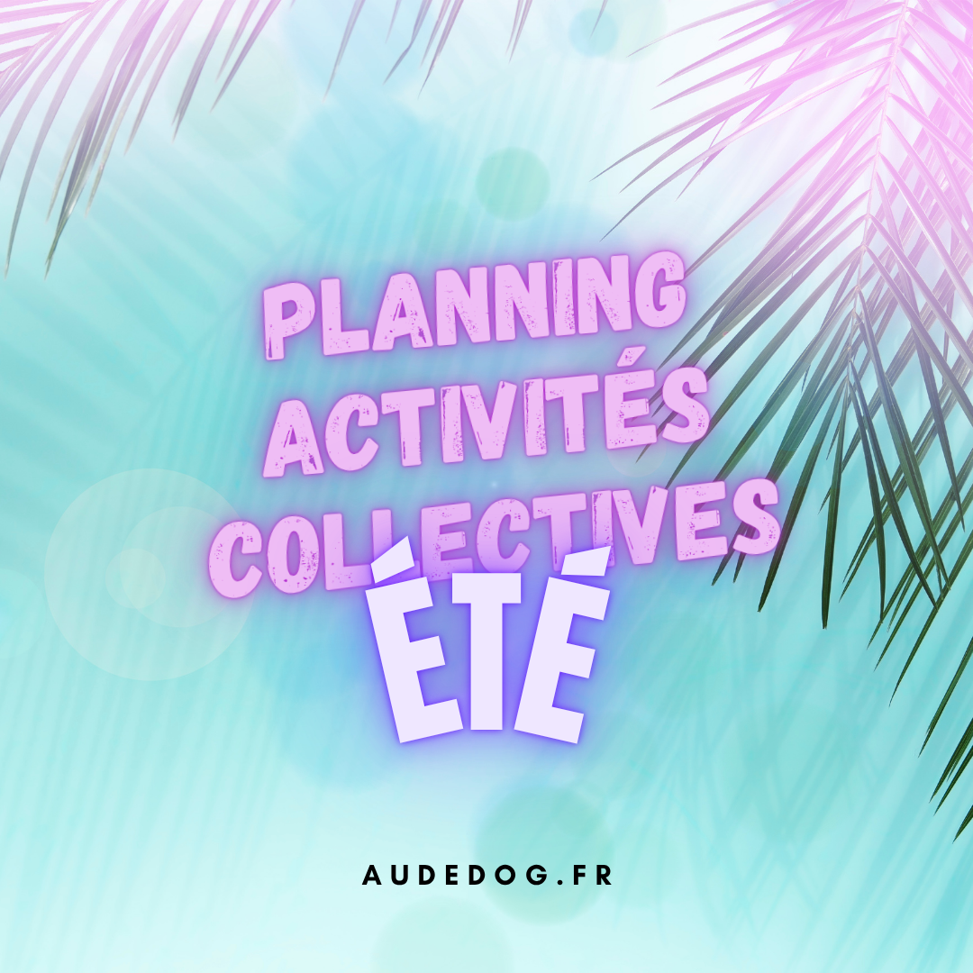 Planning des activités collectives de l'été !