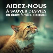 Famille-d-accueil