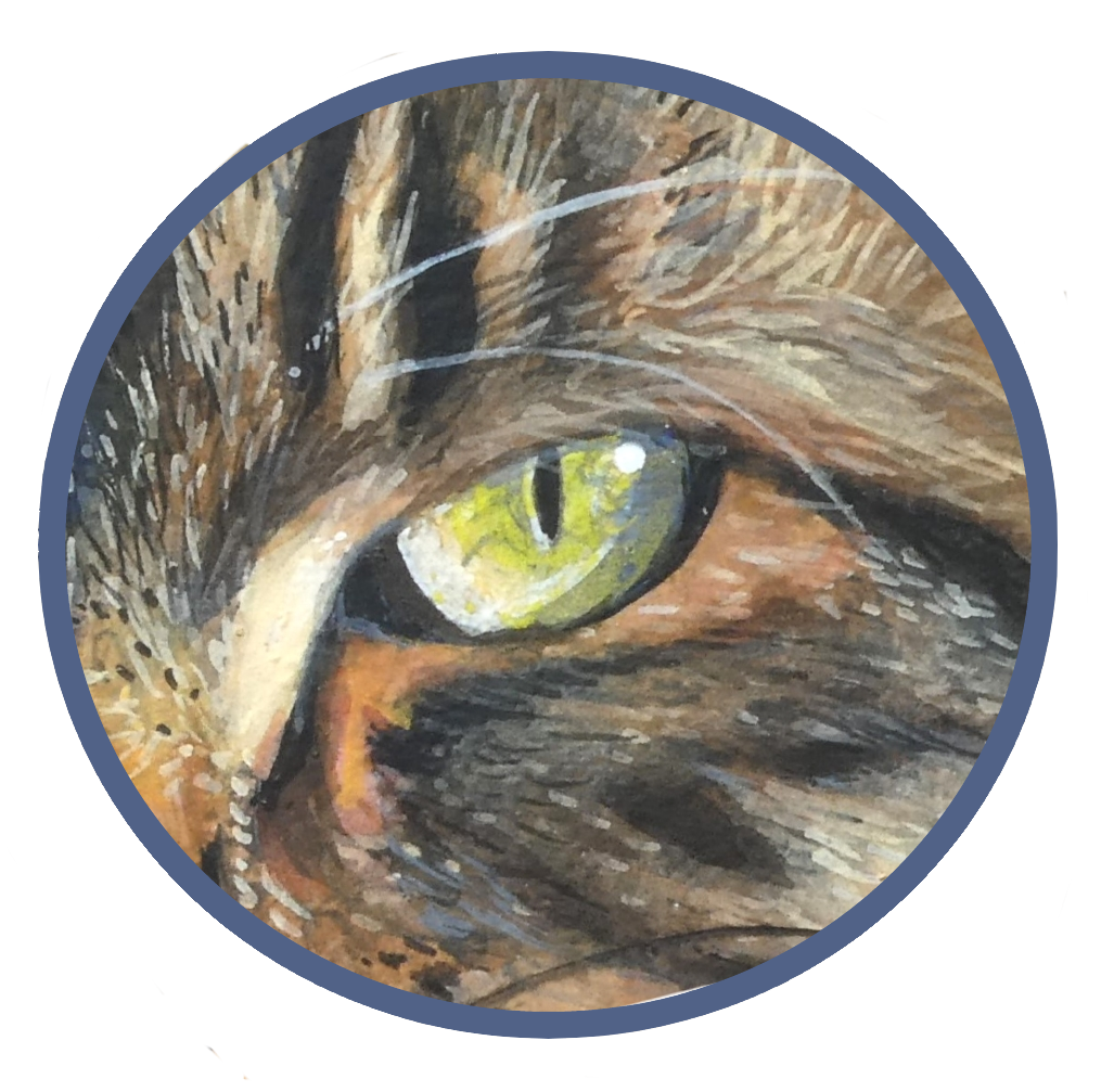 3oeil-chat