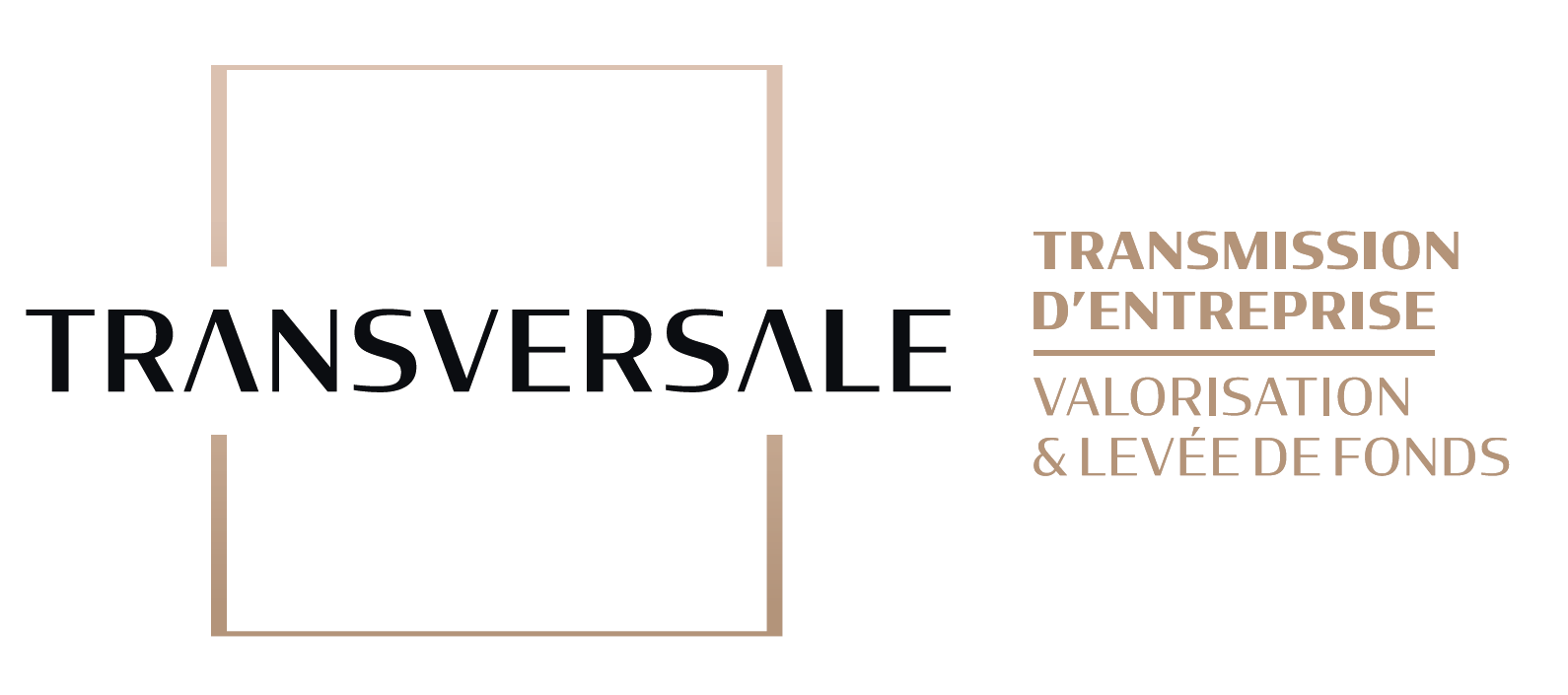 Transversale-conseil-logo-transmission-valorisation-levee-de-fonds