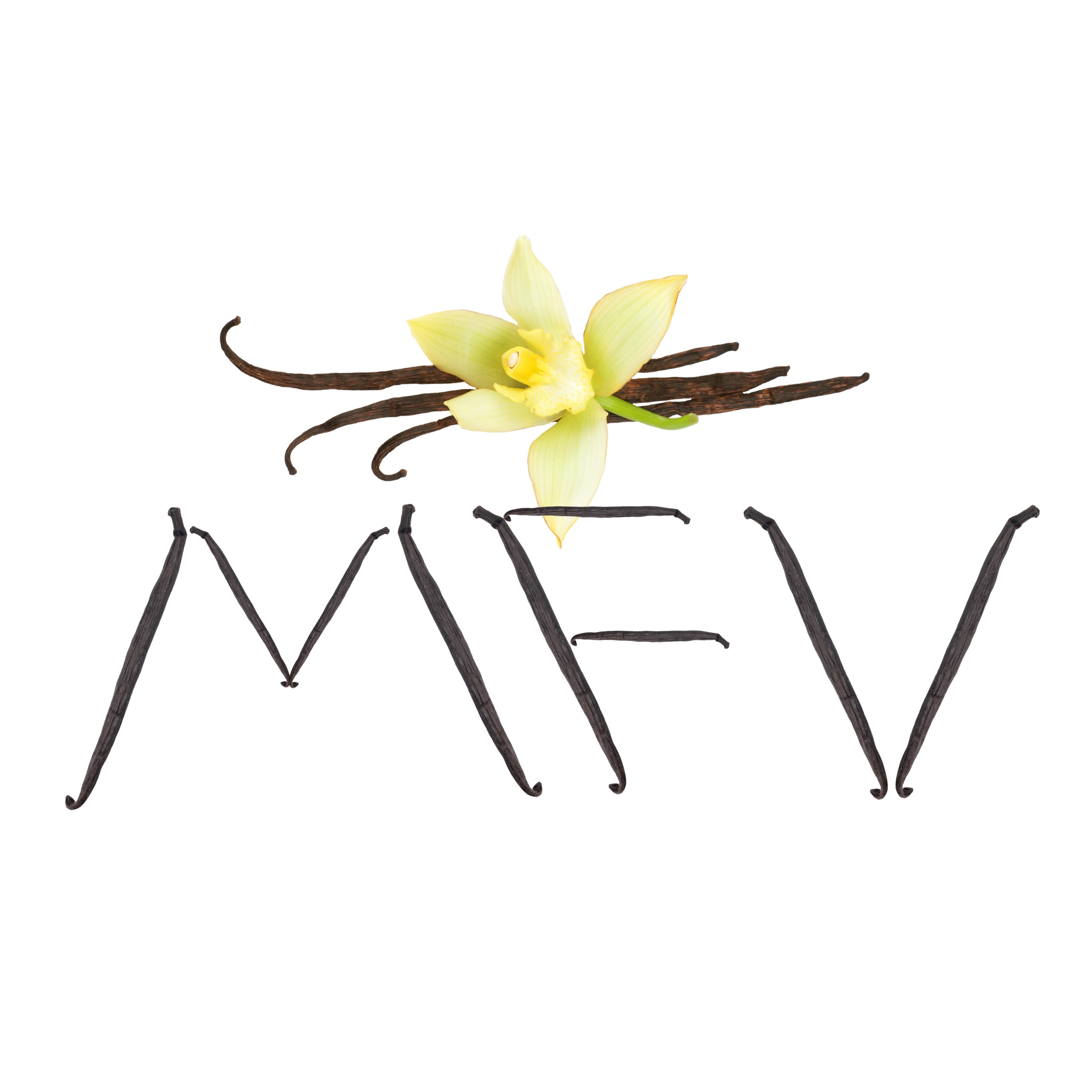 Logo mfv 3 sanstexte 3 