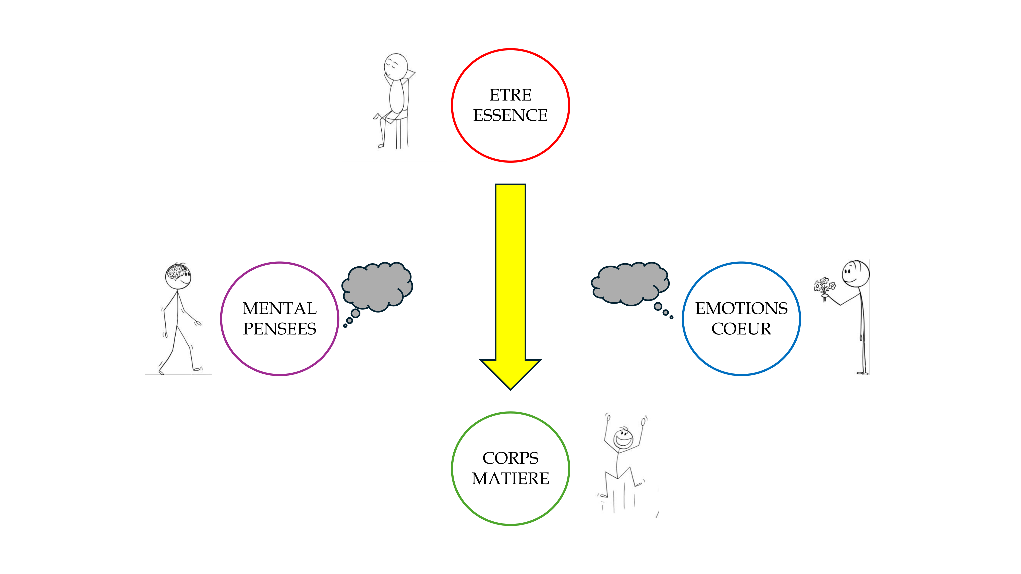 Slide-osteo-2