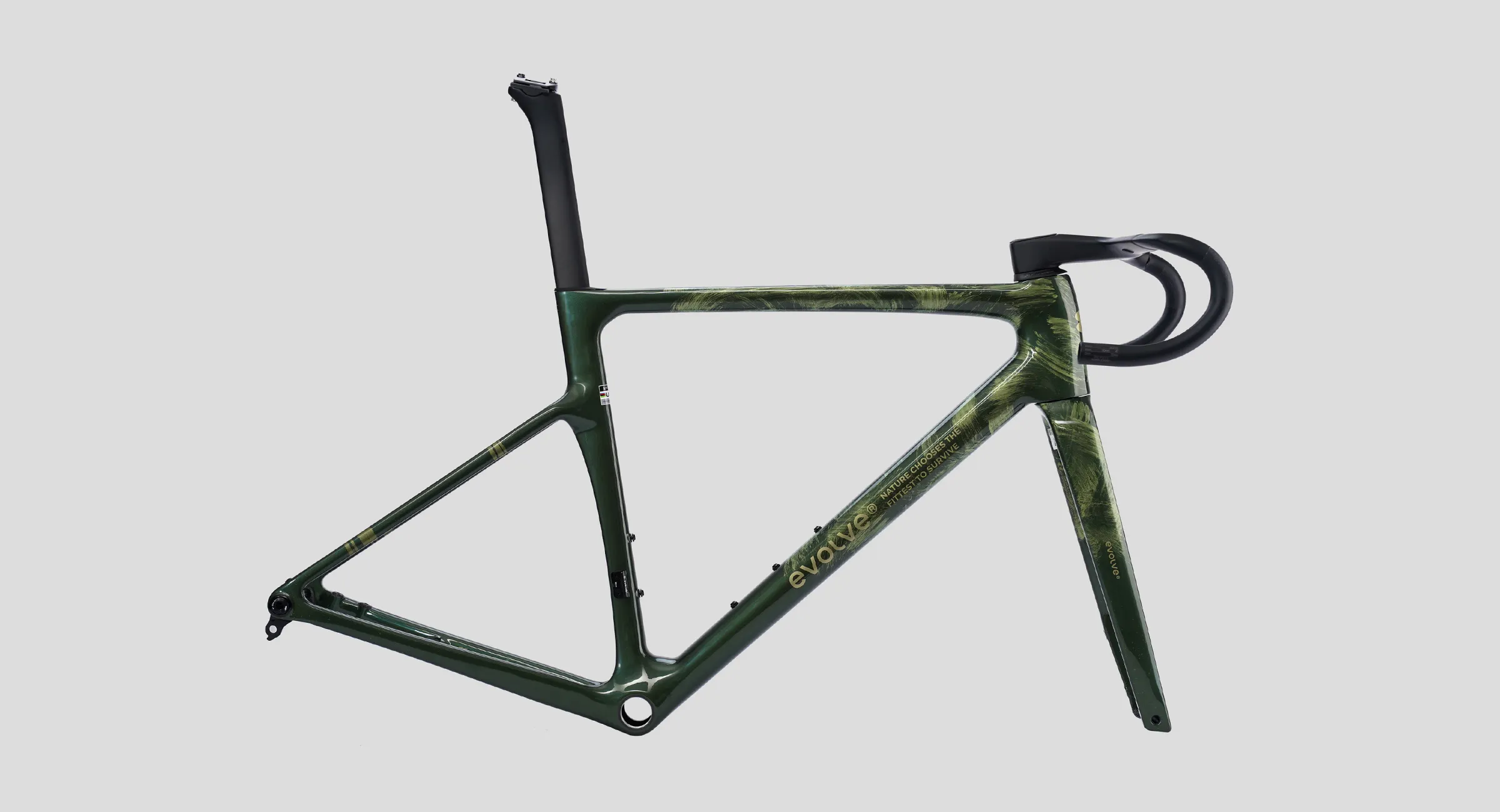 Cima artist emerge 4 1