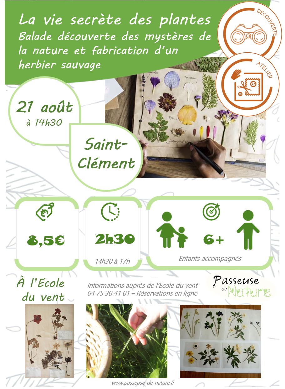 25 08 12 herbier