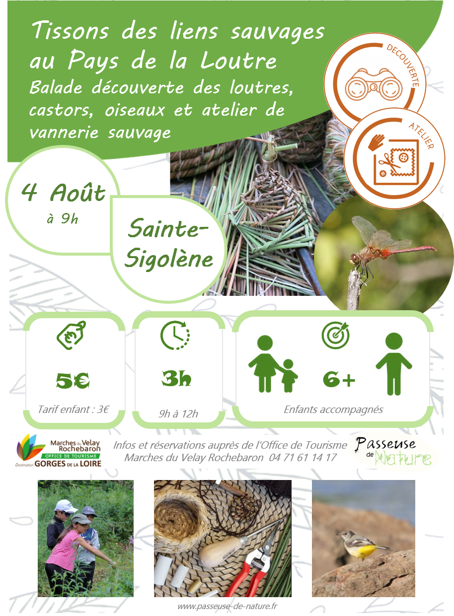 25 08 04 nature vannerie