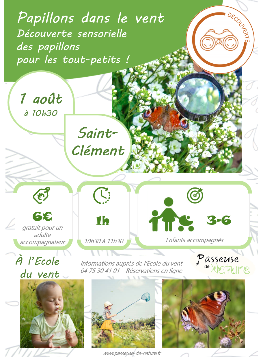 25 08 01 papillons tp