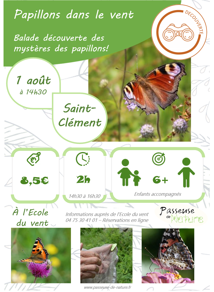 25 08 01 papillons gp