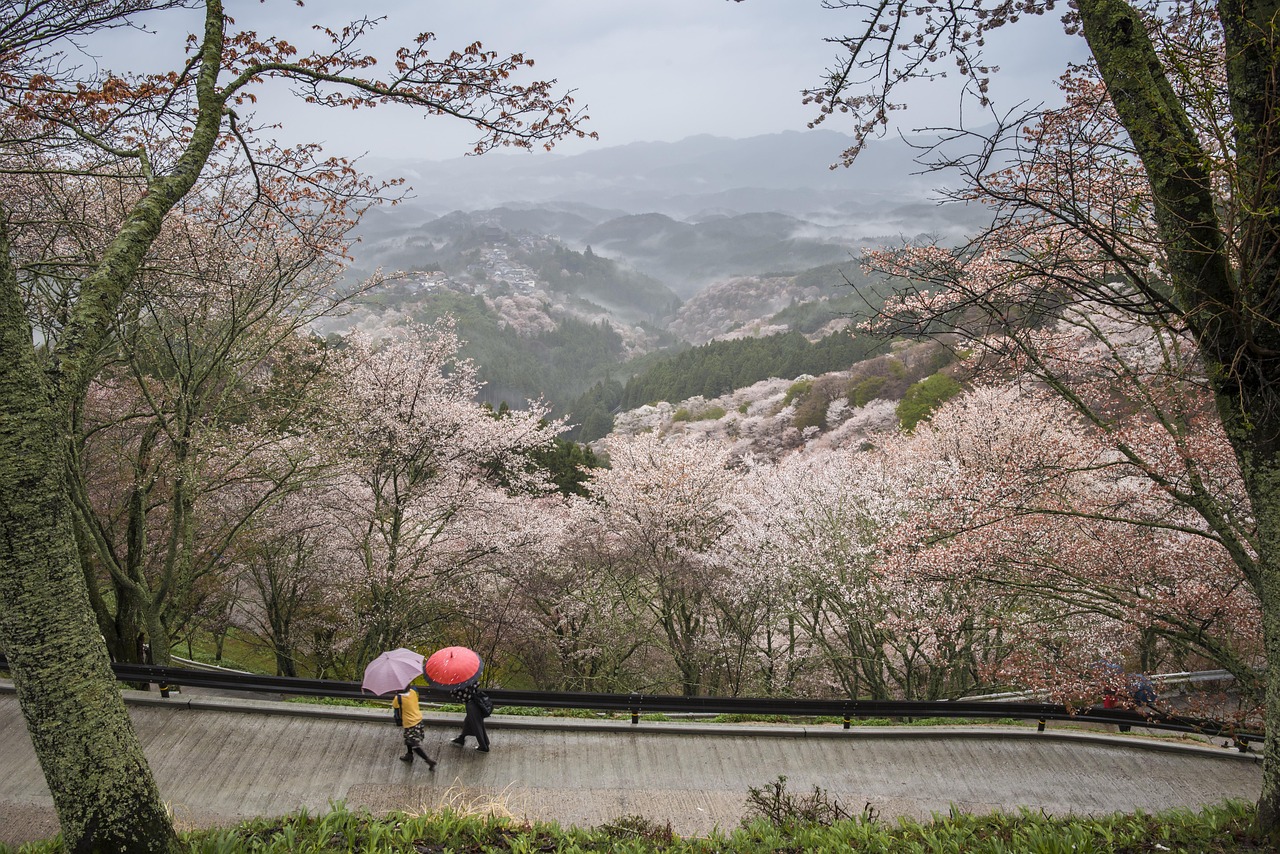 Photo-inspiration-3