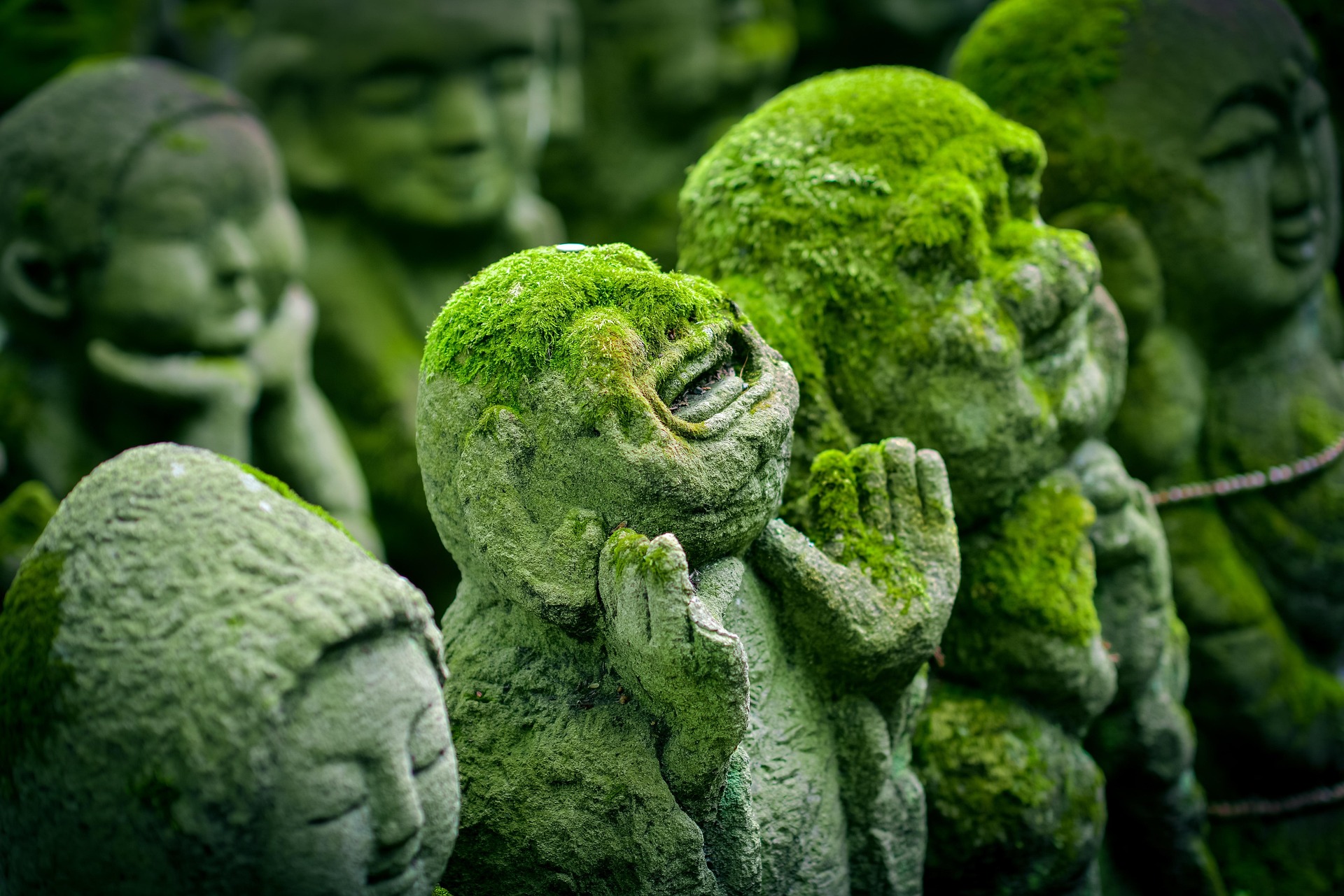 Photo-inspiration-2